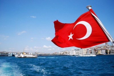 Турция рассказала о результатах первой фазы проекта по созданию цифровой лиры