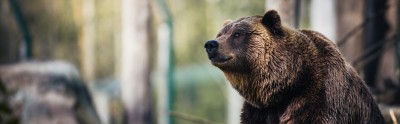 Медведи пытаются свалить биткоин ниже $42 000