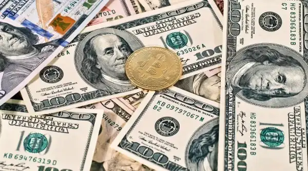 Зростання пропозиції стейблкоїнів майже зупинилося – ARK Invest – Bits Media