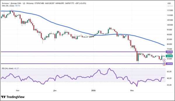 Крипторинок відновився: куди прямують ціни на біткоїн та альткоїни 12