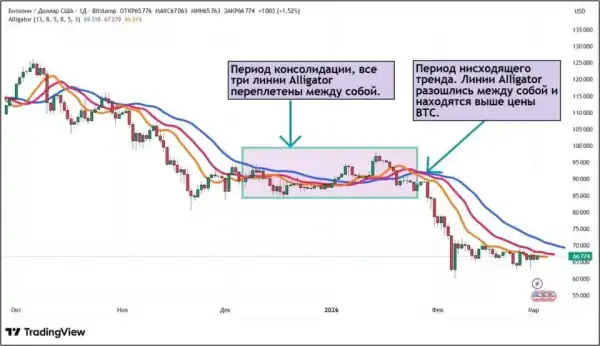 Магия чисел: лунные фазы и другие необычные индикаторы в криптотрейдинге - Bits Media 12