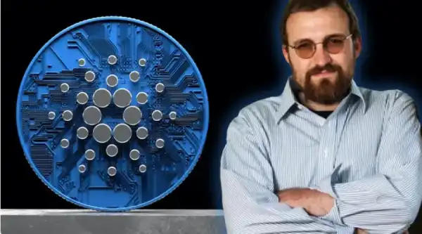 Хоскінсон переконаний: Пік крипторинку ще попереду 2 Хоскінсон переконаний: Пік крипторинку ще попереду 2