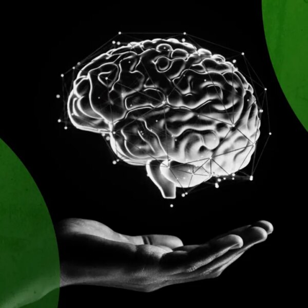 ГОЛОВНА 26 Gemma від Google: від Gemini до Opus – хто наступний?