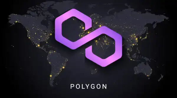Polygon пропонує новий функціонал: приховуємо стейблкоїн-транзакції на блокчейні 1