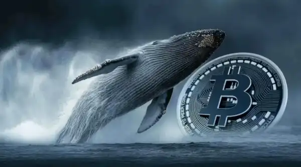 Крупний кит скинув біткоїни: збиток 40% від стартової ціни 3