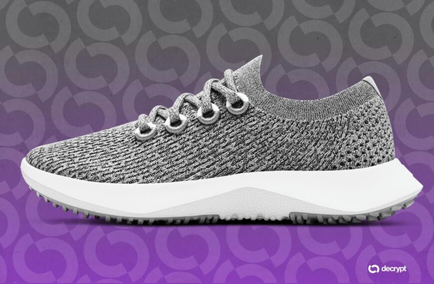 Allbirds перетворюється на Smartbird: крокоступова революція зі штучним інтелектом на крипторинку