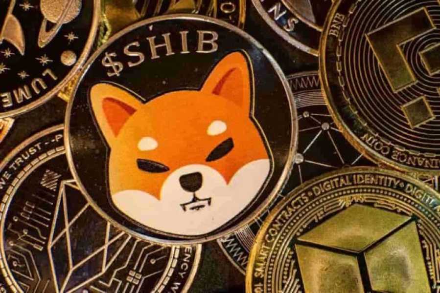 Ціна токена SHIB може зрости на 37%