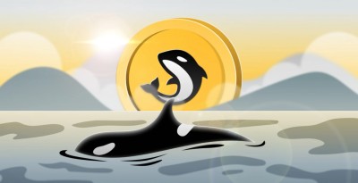 Orca запускає Wavebreak – новий лаунчпад для токенів Solana