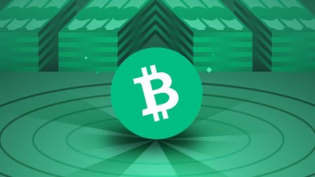 BCH оновив багатотижневий максимум слідом за зростанням біткоїну