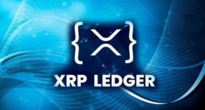 Технический директор Ripple одобряет тенденцию мем-монет в XRP Ledger | Тенденция…