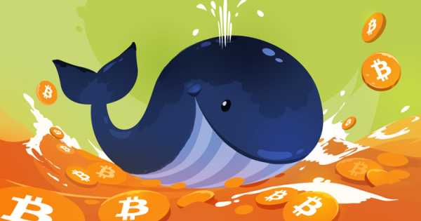 Почему «киты» сбрасывают биткоины и как сбросы повлияли на рынок?