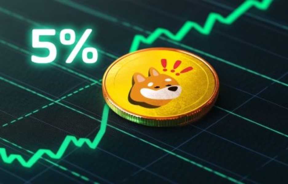 Ціна Bonk росте на 5% – інсайдери щось знають?