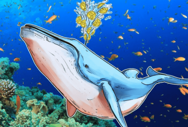 Исследование: Более трети монет Биткоина находятся у «китов»