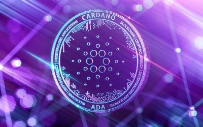 IntoTheBlock: 23% Cardano-адресов не перемещали криптовалюту в течение пяти лет