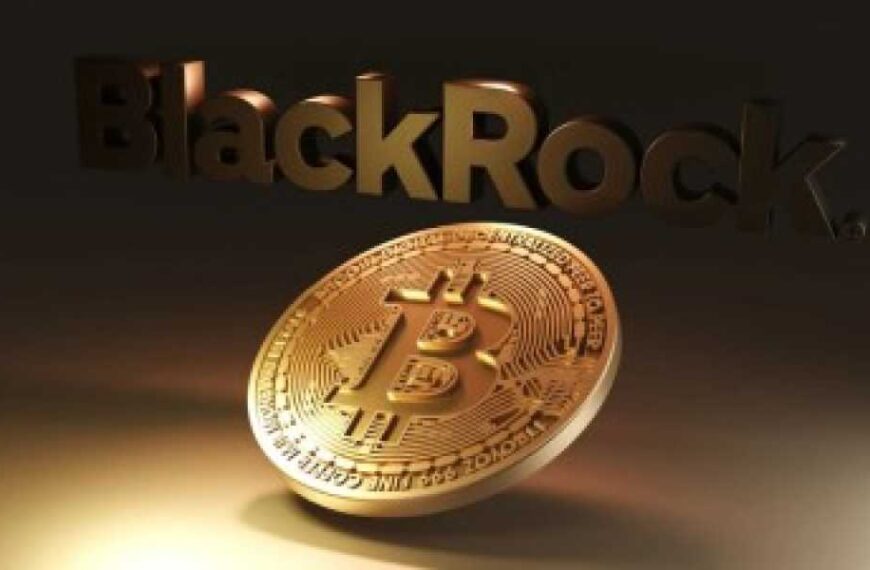 BlackRock скупив 3,25% біткоїнів, але роздрібні гроші залишають ринок