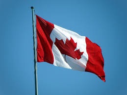Гендиректор WonderFi заявил, что канадские институционалы интересуются криптовалютами