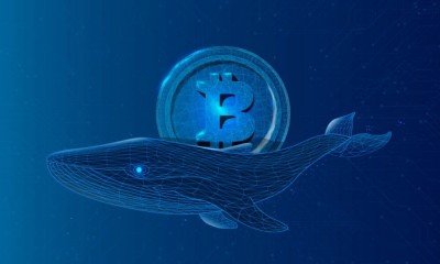 Древний биткойн-кит 2009 года продал значительное количество BTC | Кит, который…