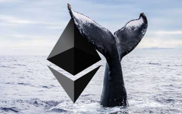 Кіт вийшов зі сплячки і купив Ethereum на $270 млн.
