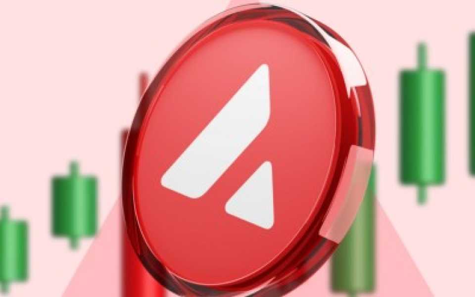 BlackRock підключив свій фонд до DeFi через Avalanche та Euler