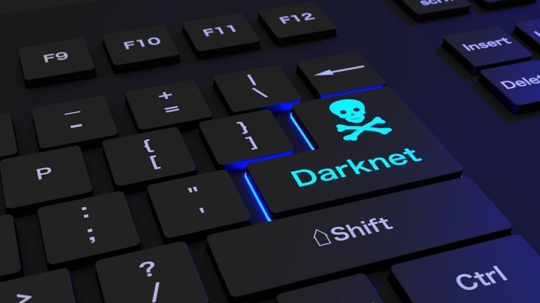 Власти США закрыли 145 доменов скнет-платформы BidenCash – Bits Media